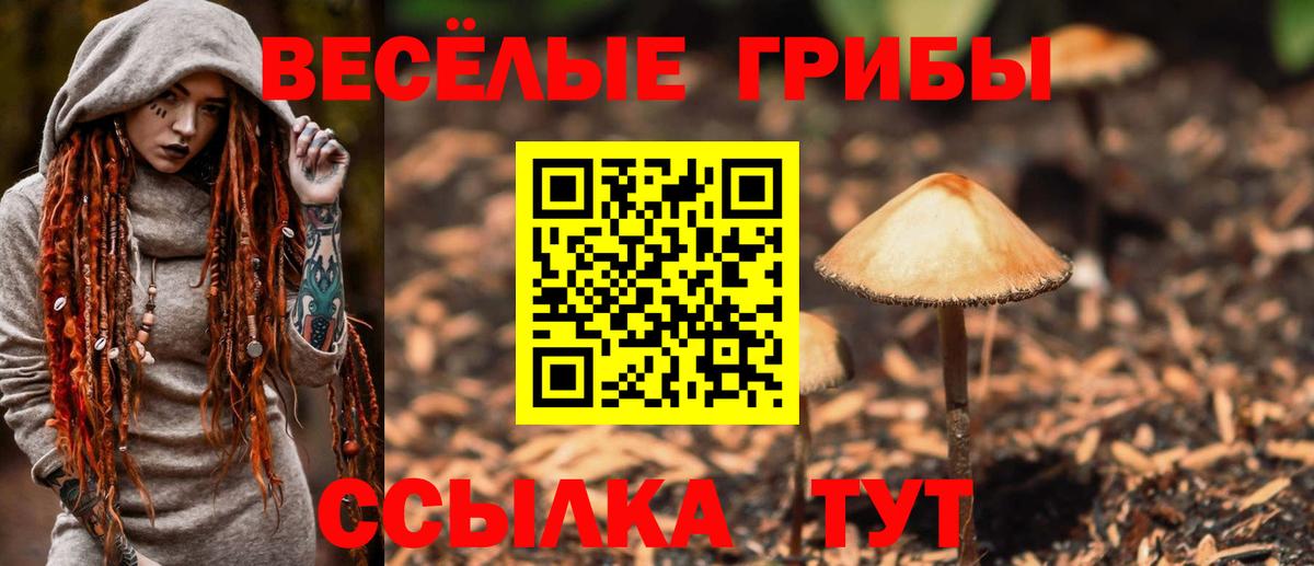 Псилоцибиновые грибы GOLDEN TEACHER  Вход с VPN  Богородск 