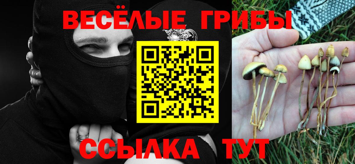 Галлюциногенные грибы MAGIC MUSHROOMS Богородск
